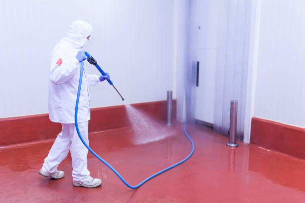 Why Choose Our Pressure Washing Services in Maryland